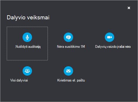 Dalyvio veiksmų parinktys