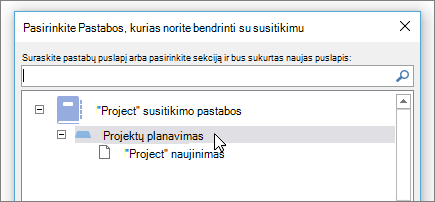 Ekrano kopija, kurioje rodomas dialogo langas Pastabų bendrinimas programoje „Skype“ verslui.