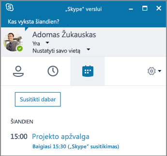 Ekrano nuotrauka, vaizduojanti „Skype“ verslui lango skirtuką Susitikimai.