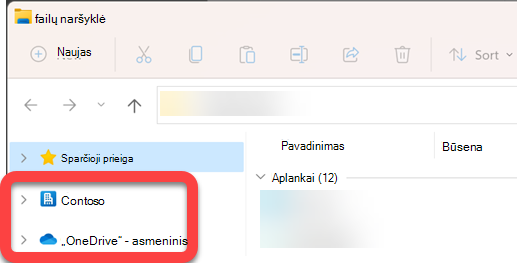 Failų naršyklės kairėje pusėje esančioje naršymo srityje yra aukščiausio lygio aplankai, skirti sinchronizuotai 