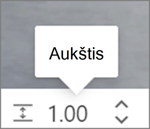 Aukščio vartotojo sąsaja