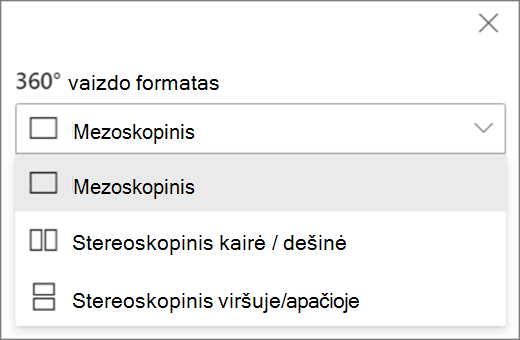 Vaizdo formato parinktys