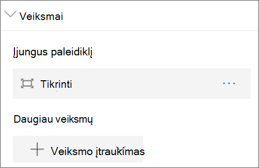 Objekto parinktys