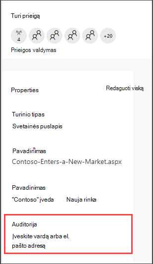 Puslapių išsamios informacijos sritis su parinktimi įvesti auditoriją