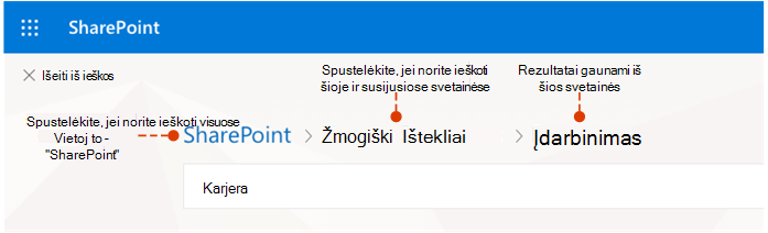 Ekrano kopija, rodanti, iš kur gaunami rezultatai ir alternatyvios ieškos vietos