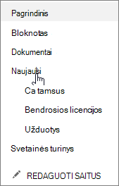 Greitosios paleisties srityje esantis saitas Naujausi pateiki neseniai sukurtus puslapius, sąrašus ir bibliotekas