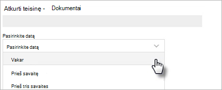 Paveikslėlis, rodantis datos pasirinkimo parinktis