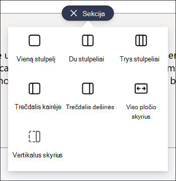 Sekcijų tipų sąrašas