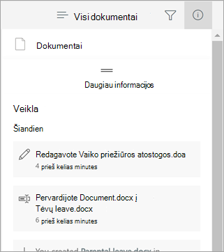 Išsamios informacijos sritis, rodanti naujausius pakeitimus
