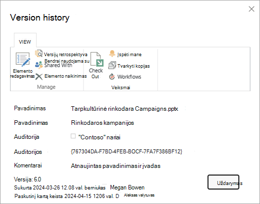 Tam tikro failo versijų istorijos dialogo langas.