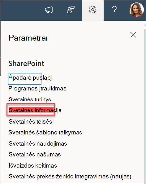 Parinktis Svetainės informacija dialogo lange Parametrai.