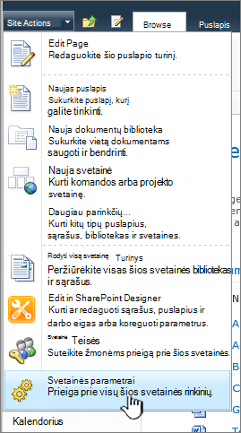 Svetainės parametrai meniu Svetainės veiksmai