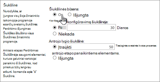Žiniatinklio programos dalis Perdirbimo parametrai Bendrųjų parametrų puslapis