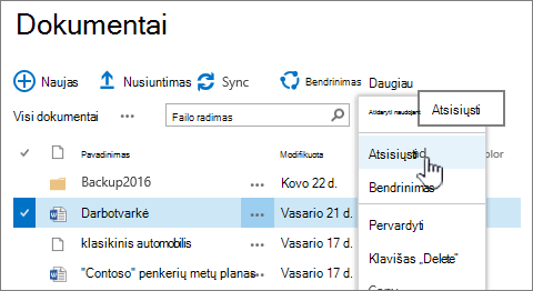 Failo atsisiuntimo parinktis