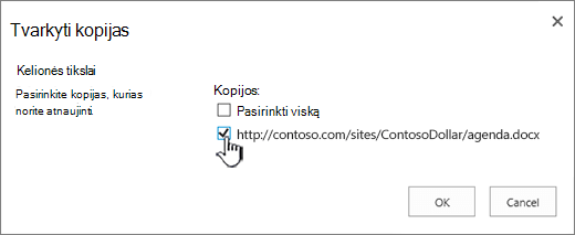 Pasirinkite paskirties kopijas, kurias norite atnaujinti