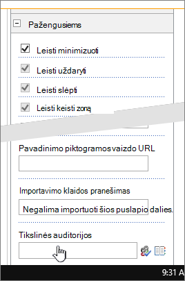 Puslapio dalies ypatybės išplėstinė sekcija su paryškinta tiksline auditorija