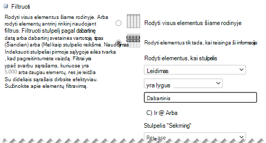 Dalyje Redaguoti parametrus apibrėžkite norimus rodinio filtrus.