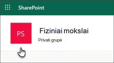 Svetainės piktograma