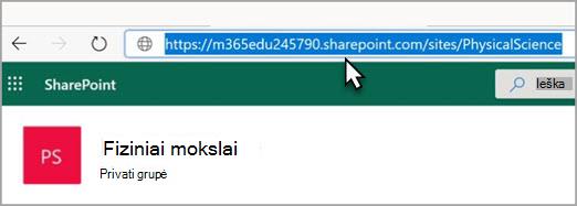 Svetainės URL
