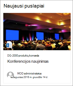 Puslapio miniatiūros vaizdo pavyzdys pažymėto turinio puslapio dalyje