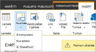 Mygtukas Įterpti paveikslėlį, kurio šaltinio parinkčių meniu yra po juo.