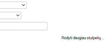 Jei jums reikia įtraukti kitą įrašą į filtro aprašą, pasirinkite Rodyti daugiau stulpelių.