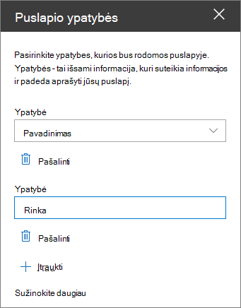 Puslapio ypatybių puslapio dalies sritis
