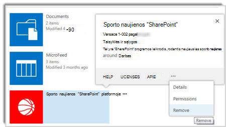 Taikomosios programos šalinimo komandos ypatybių paaiškinimo ekrano nuotrauka.