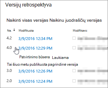 Versijų istorija su panaikinta viena papildoma versija