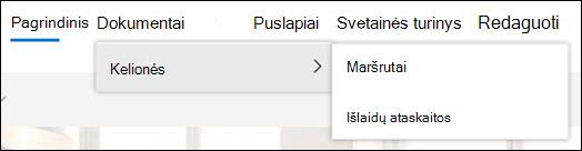 Aukščiausi naršymo lygiai