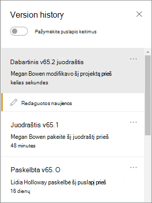 Versijų istorijos sritis