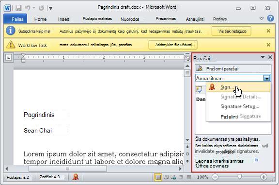 Elementas su atidaryta Parašų sritimi