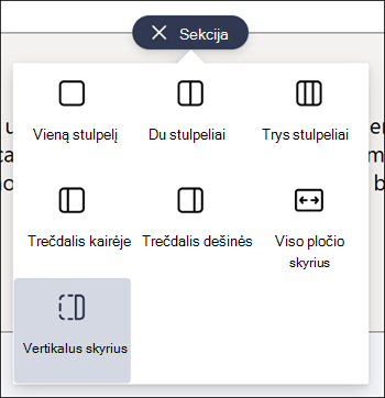 Sekcijų tipų sąraše paryškinta vertikali sekcija