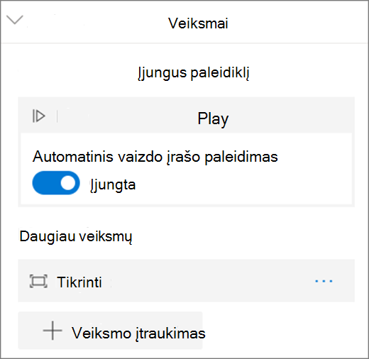 Vaizdo įrašo parinktys