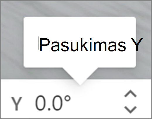 Y
