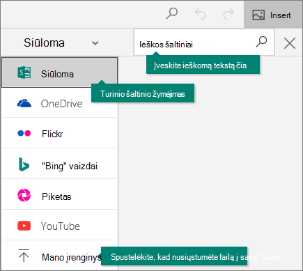 Išplėstinės ieškos šaltinio meniu.