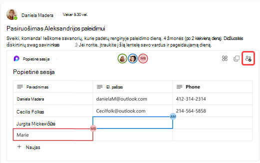 Ekrano kopija, kurioje vaizduojami keli žmonės, vienu metu dirbantys su 
