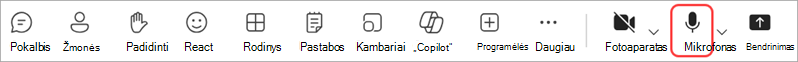 Garso valdymas susitikimo metu