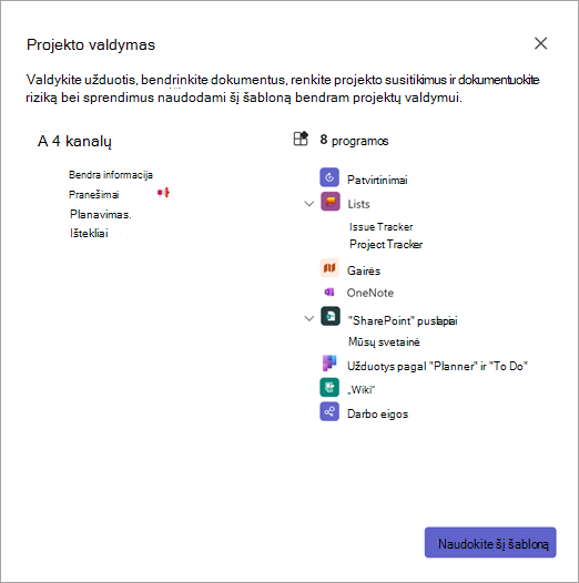 Komandos šablono išsamios informacijos ekrano kopija