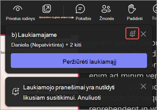 Laukiamojo pranešimo su paryškinta piktograma Nutildyti šiuos pranešimus ekrano kopija.