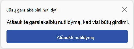 Vartotojo sąsaja