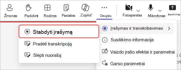 Ekrano nuotrauka, kurioje rodoma, kaip sustabdyti įrašymą didelės auditorijos susitikimo metu