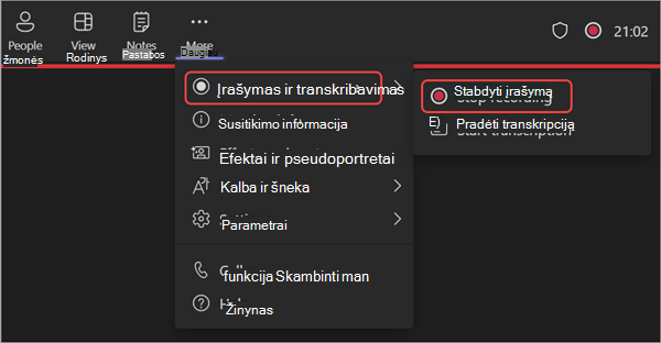 Ekrano kopija, kurioje rodoma, kaip sustabdyti įrašymą internetinio seminaro metu