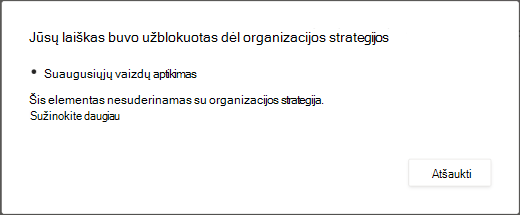 Dialogo lange paaiškinama, kodėl buvo panaikintas pranešimas dėl suaugusiesiems skirto turinio.