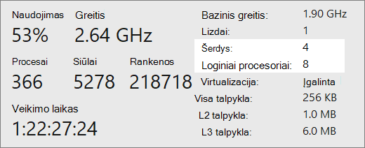 Branduolių ir loginių procesorių ataskaitos ekranas.