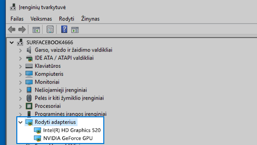 Įrenginių tvarkytuvė ir rodymo adapteriai