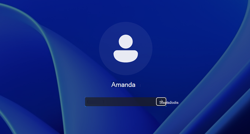 Screenshot of the local Sign-in page. image