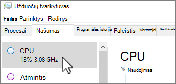 Našumo skirtukas ir CPU informacija.
