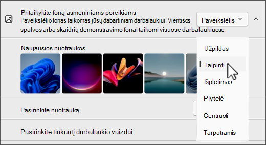 Personalizuoti darbalaukio talpinimo ir vaizdo pasirinkimus ekrano kopija.