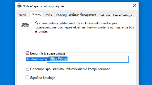 Spausdintuvo bendrinimas spausdintuvo ypatybėse